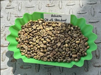 Premium Fresh Coffee Arabic And Robusta Coffee Bulk Wholesale Rich Aroma And Natural Taste 100% Robusta/Arabica Coffee Beans - Nedvixs Company Limited - Kenya