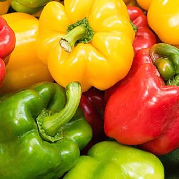 Fresh Capsicum Style Fresh Flavor sweet Color All Colors Type Bell pepper Model Number BF_00478 Cultivation Type COMMON Brand Name Fresh - BF GLOBAL TRADING PTY LTD - South Africa