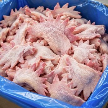 Halal Certified Whole Chicken Combs & Crests 24-Month Shelf Life Bulk Frozen Poultry from jazzico chemical Halal Certified Whole Chicken Combs & Crests 24-Month Shelf Life Bulk Frozen Poultry - jazzico chemical - Philippines
