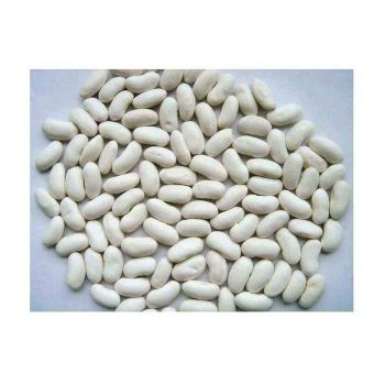 premium white beans for cooking soups stews salads and healthy recipes natural whole white beans rich in plant protein fiber iron and essential nutrients perfect for vegetarian vegan meals home kitchens restaurants and balanced diets - SATTER FOOD AND BEVERAGE - Netherlands