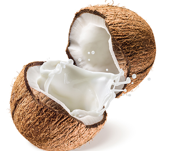 Coconut Milk & Coconut Cream from Allthatnet Coconut Milk & Coconut Cream - Allthatnet - South Korea