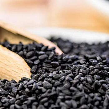 Black Seed Oil / Nigella Sativa - 3% Thymoquinone (TQ) - Natural Solutions Ltd - Turkey