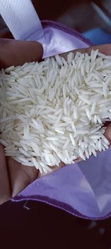 1121 Basmati Raw Rice - jbssa - Brazil