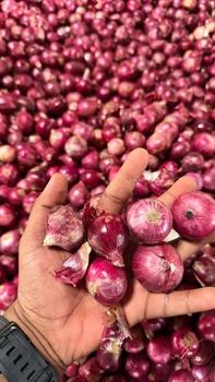 Whole Wholesale Red Yellow White Green Skin Crop Peeled Purple Organic Fresh Vegetable Onion Price From Factory Supplier - Smart Agri GmbH - Germany