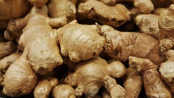 Fresh Ugandan Ginger (Zingiber officinale) – Whole Aromatic Rhizomes, Spicy, Aromatic – product photo, product card