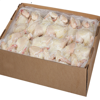Buy Halal Whole Frozen Chicken for Export /Halal Frozen Whole Chicken - AK.BOLO MEDIK LTD - Thailand