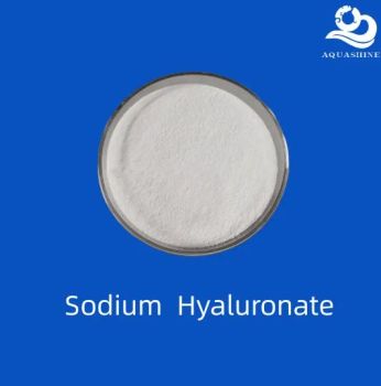 White Powder Sodium Hyaluronate Used in Beauty - Anshan Aquashine Trading Co., Ltd. - China