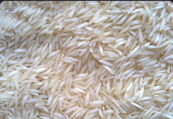 1121 steam basmati rice from Vishudha Exports 1121 steam basmati rice - Vishudha Exports - India