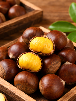 Fresh chestnut - Taian Yihang food Co,Ltd - China