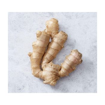 Premium quality fresh ginger offered at wholesale price for supermarkets and exporters - MASI TRADING GMBH - Germany
