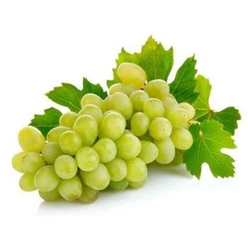 Green Grapes (Premium Indian) - AGROCARTE EXIM ENTERPRISES PVT LTD - India