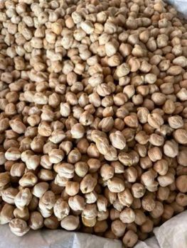 Chickpeas - trade brokerage - Ethiopia