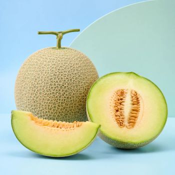 Melon Aroma Fresh Organic Yes Form Whole Fruit Origin Indonesia Type Fresh Melon Brix Level 10–14%% Water Content High Technique Handpicked - PT Sumber Niaga Alam Sejahtera - Indonesia