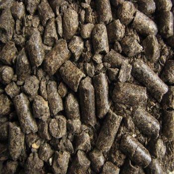 Sunflower Meal 36% Protein For Animal Feed Sunflower Meal Consistent Nutritional Profile For Feed Manufacturers Worldwide - THE GREEN INTERNATIONAL LIMITED - Tanzania