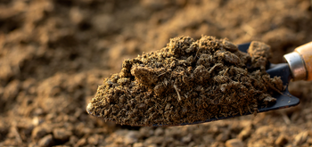 Organic Cow Dung Manure, Chicken Manure Features Organic Fertilizer Compost Place of Origin India Max. Moisture (%) 0.5 - - THESIS - India