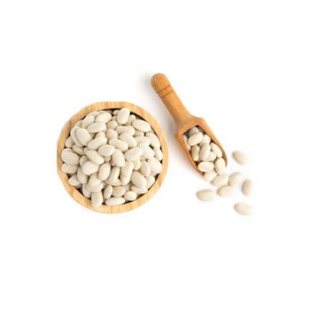 Wholesale Price Supplier of Organic Dried White Kidney Beans Bulk Stock With Fast Shipping - Exigentelaxia Unipessoal Lda - Portugal