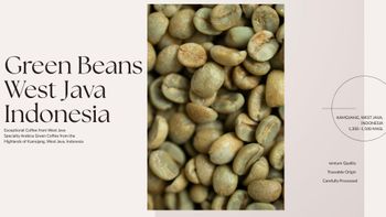 ndonesian Specialty Arabica Green Coffee Beans – West Java Full Washed from SAMA GROUP ndonesian Specialty Arabica Green Coffee Beans – West Java Full Washed - SAMA GROUP - Indonesia