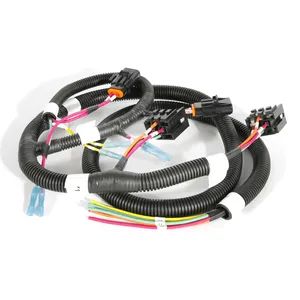 High-Quality Truck Headlamp Wiring Harness for Global Distribution - Edgar Auto Harnesses Ltd. - China