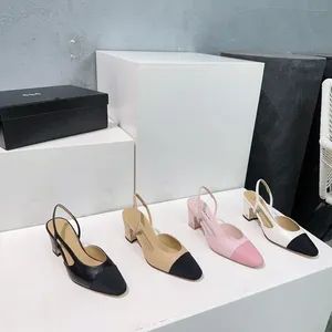 1: 1 Copy Luxury Brand Women's High Heels and Women's Shoes Plus Size 34-43 - Qianshan Xinruixin E-Commerce Co., Ltd. - China