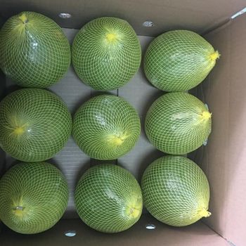 GLOBAL CITRUS SUPPLY: 5 ROI POMELO WHOLESALE SPECIALIST Grade A Size 13 Cm Weight 1 Kg Style Fresh Maturity 100% Origin - TANIS IMPORT & EXPORT COMPANY LIMITED - Vietnam