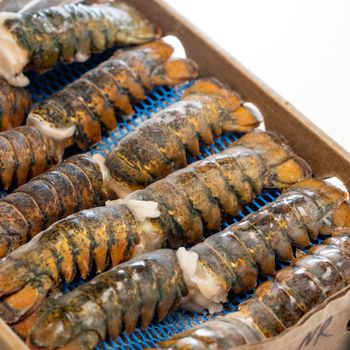 Premium BFQ IQF Frozen Lobster Tails Vacuum Pack 10kg/carton for Sushi Restaurants-Blue Squat Lobster from CPW TRADE LTD Premium BFQ IQF Frozen Lobster Tails Vacuum Pack 10kg/carton for Sushi Restaurants-Blue Squat Lobster - CPW TRADE LTD - United Kingdom