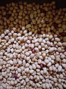 Groundnut Kernels from YAKURANAA FARMS Groundnut Kernels - YAKURANAA FARMS - Ghana