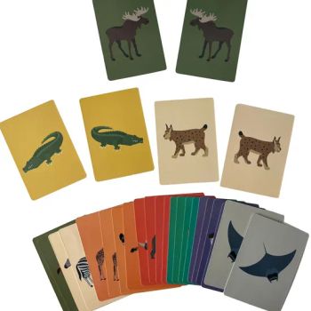 Wholesale Playing Cards Table Board Games Memory Match Card Educational Custom Game Board Children Toy Card Games - Taizhou Melon Toys Co., Ltd - China