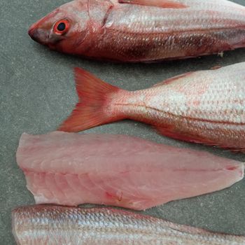 Fresh and Frozen Redfish Red Drum Whole Fillet Steak Gutted Scaled IQF Seafood for Global Export - PILOTEXPORT IMPORT AND EXPORT LTD - South Africa