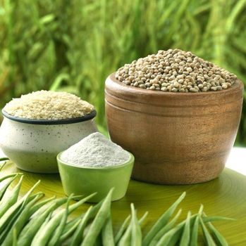 Guar Gum Origin - PT. Syahdu Sejahtera Makmur - Indonesia