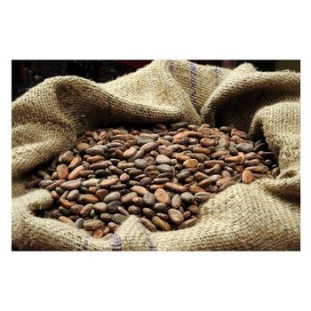 Cocoa Bean Price Per Kg High Quality Raw Cocoa Bean Ghana Organic Cacao Bean -  CALIPSO POLSKA SP Z OO  - Poland