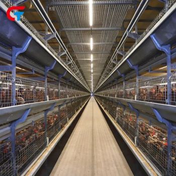 2024 Factory New Make Chicken Automatic Feeding Poultry Battery Cage - Wulian Changtai Intelligent Technology Co.. Ltd. - China