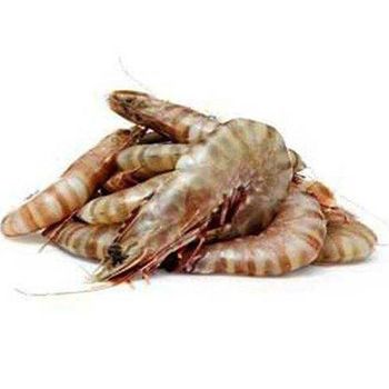 Bulk Quantity Wholesale Supplier Best Quality Frozen HOSO shrimps For Sale In Cheap Price. – product photo, Frozen Shrimps products found from trusted suppliers, wholesalers, manufacturers & exporters Listing