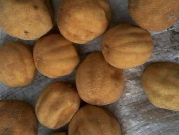 Egyptian Dried Yellow Lemon – Whole - Elmotmiz Herbs - Egypt