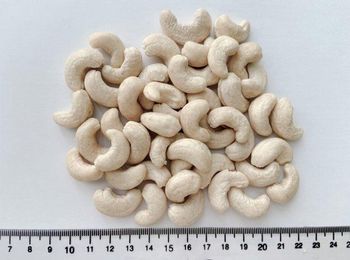 Cashew nut WW320 – product photo, Cashew Nut Kernel products found from trusted suppliers, wholesalers, manufacturers & exporters Listing