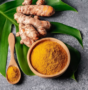 Turmeric Powder Export Quality - V Organics FZ LLC - United Arab Emirates