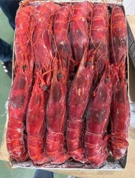 BUY HEALTHY FRESH FROZEN CLEANED YELLOWFIN TUNA(5-6Kg) VACUUM PACKED PREMIUM EXPORT QUALITY - Sosa Merchant Solutions - Austria