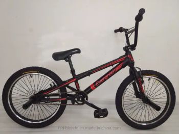 20" Hi-Ten Steel Frame Freestyle BMX Bike OEM Type Ramp Chain Tec Saddle Cro Stem Alloy Hub Steel 48h Handlebar Steel Seat Post - Tianjin Fushengda Sports & Leisure Equipment Co., Ltd. - China