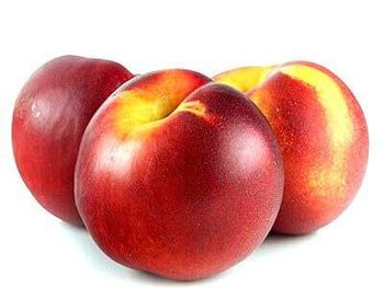 Nectarine - MILIS FRUIT NUT NURSERY - Greece