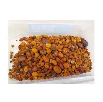 Best Quality Ox Gallstones | Bovine Gallstones | Cow Bezoar Stones – product photo, Stones products found from trusted suppliers, wholesalers, manufacturers & exporters Listing