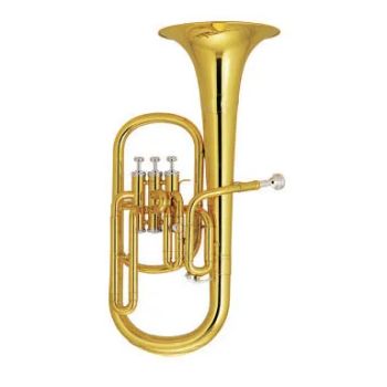 Alto Horn Eb Key/ Brass Instrument/Alto Horn Brand OEM Age Adults Bell 205mm Color Gold Bore 11.8mm Trademark OEM Case Foambody - Tianjin H&W Instrument Co., Ltd. - China