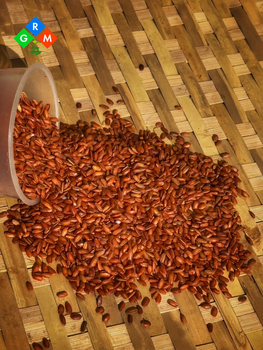 Traditional Organic BaoDhan 1006.30 Select Whole Grain Color Red Grade Export Flavor Nutty Shape Whole Grain Packaging 30kg bags - GRM Agrofarm Integrated Technologies Pvt. Ltd. - India