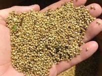 Agriculture, Food & Beverage – product photo, Food Beverage products found from trusted suppliers, wholesalers, manufacturers & exporters Listing