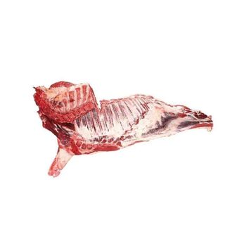 Frozen Beef Fresh Nature Frozen Beef Forequarter - Exigentelaxia Unipessoal Lda - Portugal