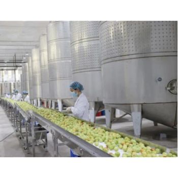 Factory Price 600t Fig Fruit Vinegar Wine Making Plant Banana Wine Processing Machine Mango Vinegar Production Line - Antler Automation Equipment (Suzhou) Co., Ltd. - China