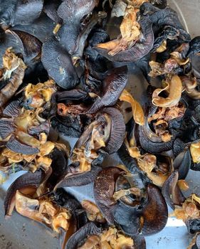 Dried snail meat - CPW TRADE LTD - United Kingdom