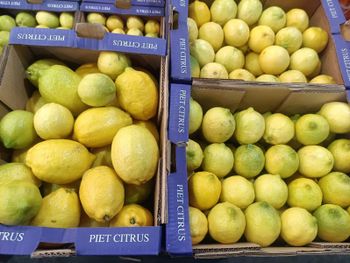 LEMONS Packaging 18kg Box Origin South Africa Minimum Order 1200 Boxes Quality Grade First Grade Storage Temperature -18°c Or - KAI RESOURCE GROUP - South Africa
