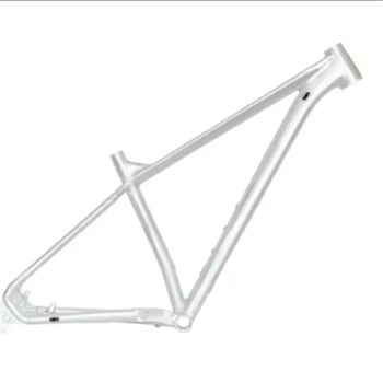 Aluminium Alloy Fixed Gear Bike Frame Track Bike Frame - Xingtai Tianjiu Bicycle Parts Co., Ltd - China