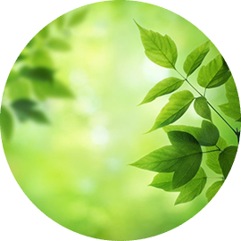 Product – product photo, Fresh Cut Pears products found from trusted suppliers, wholesalers, manufacturers & exporters Listing