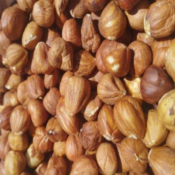 100% Premium Organic Hazelnut Kernels Inshell Peeled and Roasted Raw Hazelnuts For Sale - CPW TRADE LTD - United Kingdom