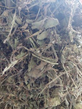 Borage Leaves & Flower (Gule )Gauzban Origin Iran Flavor Cucumber-like Packaging 35, 40 KGS Color Blue Star-shaped Product Type Spices, Seasonings & Flavors - Ruby Herbal Supplies Co - Iran